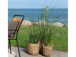 3 cestas de algas marinas naturales de Vietnam^ebuy24 Online