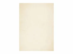 Alfombra HUARTE de pelo corto suave y lavable color crema 240x340 cm Blanco Best