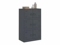 vidaxl Cajonera De Escritorio|Aparador de acero antracita 67x39x107 cm