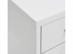 vidaxl Armario archivador móvil metal 28x41x109 cm Gris Hot