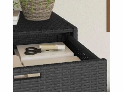 vidaxl Armario de almacenaje de jardín ratán PE 105x55x113 cm Negro Best