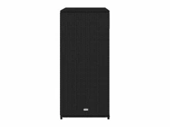 vidaxl Armario de almacenaje de jardín ratán PE 105x55x113 cm Negro Best