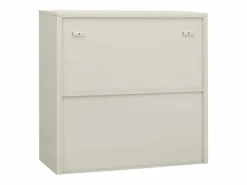 vidaxl Armario Oficina|Armario de oficina de acero claro 90x40x90cm