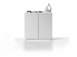Armario multiusos Easy con 2 puertas mate 79,20x38x86 cm^ Clearance