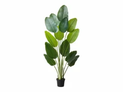 Planta Artificial|Ave del Paraíso Artificial SucceBuy, 1,8 m, Planta Artificial Tropical en Maceta, Falso Árbol Tropical, Planta Falsa Hojas Polietileno para Salón