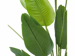 Planta Artificial|Ave del Paraíso Artificial SucceBuy, 1,8 m, Planta Artificial Tropical en Maceta, Falso Árbol Tropical, Planta Falsa Hojas Polietileno para Salón