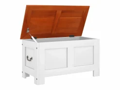 Baúl de almacenaje con tapa madera de acacia marrón y^vidaxl New
