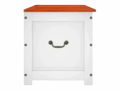 Baúl de almacenaje con tapa madera de acacia marrón y ES641844^ Outlet
