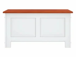 Baúl de almacenaje con tapa madera de acacia marrón y ES238810 Blanco Hot