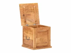 vidaxl Baúl Y Arcón|Baúl de madera maciza de acacia 40x40x40 cm