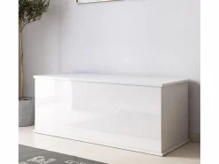 MB Muebles Bonitos Baúl para Dormitorio en 100x40x40cm Ariel Blanco