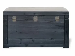 OZAIA Baúl Y Arcón|Accesorios De Almacenaje|Banco baúl con cojín de lino, L. 80 x An. 40 x Al. 53 cm, y beige, TURZA