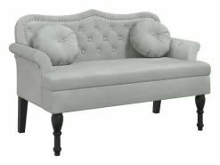 vidaxl Banco Y Pie De Cama|Banco Y Pie De Cama|Banco con cojines 120,5x65x75 cm terciopelo