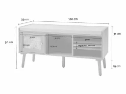 Calicosy Zapatero|Mueble De Almacenaje|Banco de zapatos de 1 puerta con fachada de ratán y 3 nichos abiertos L100 cm - PALMO