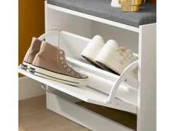 Sobuy Banco Zapatero con 1 Solapa Banco de almacenamianto con cojín Acolchado de Asiento 60 x 24 x 47 cm FSR16-K-W ES Gris / Blanco Outlet