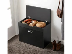 Sobuy Zapatero|Mueble De Almacenaje|Banco Zapatero con 1 Solapa para Entrada Banco de Almacenamianto con Cojín Acolchado de Asiento 60 x 30 x 50 cm FSR95-SCH ES