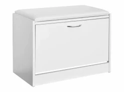 Sobuy Banco Zapatero, Taburete, Puff Caja, Banco, Estantería para Zapatos, Chifonier FSR16-W ES Blanco Outlet