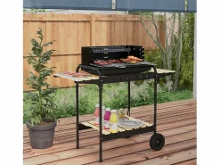 Barbacoa de carbón con ahumador, parrilla regulable, estante de madera, carro móvil de acero (103x47x95cm) Negro Hot