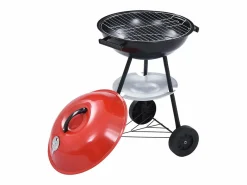 vidaxl Barbacoa de carbón portátil con ruedas XXL 44 cm Multicolor Best
