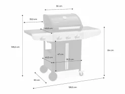 Barbacoa de gas con 3 quemadores con 1 quemador lateral^Sweeek New