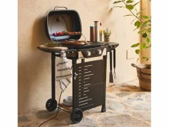 Barbacoa eléctrica de 2 quemadores, acero esmaltado^Sweeek New