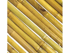 NORTENE Cañizo entero barnizado bambooflex 1,5X3 M Marru00f3n Outlet