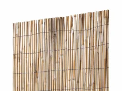 Cañizo entero varilla media reedcane plus 1,5X5 M^NORTENE Clearance