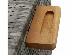 vidaxl Baúl De Jardín|Caja almacenaje jardín ratán sintético claro 120x65x61 cm