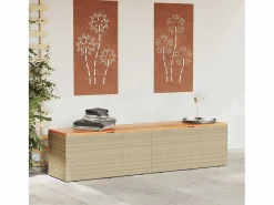 Caja de almacenamiento de jardín hecha de resina tejida y madera de acacia^