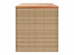 Caja de almacenamiento de jardín hecha de resina tejida y madera de acacia^