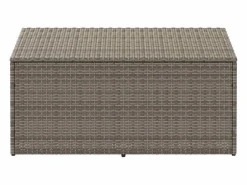 Caja de almacenamiento de jardín 110x50x58 cm resina tejida^ New