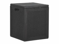 Caja de almacenamiento de jardín 90 L Ratán PP Negro