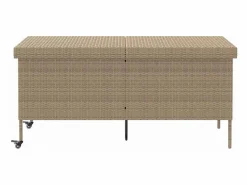 Armario De Jardín|Caja de almacenamiento de jardín con ruedas, 160x55x75 cm, resina trenzada