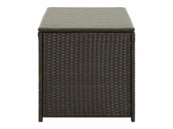 Caja de almacenamiento para jardín de resina tejida 100x50x50 cm marrón^