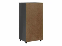 vidaxl Cajonera De Escritorio|Cajonera con ruedas MOSS madera maciza de pino