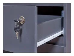 Cajonera FileGuard 1 cajón, 1 puerta con llave color .^ebuy24 Discount