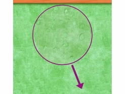 Clicnbuy Caseta para perros madera maciza de pino marrón 96x87x80,5 cm Marru00f3n Discount