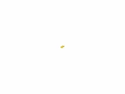 Joseph Joseph Catcher Presse-agrumes Amarillo Hot
