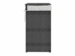 Cesta para ropa con tapa 46x33x60 cm resina tejida^ New