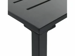 Garden Furniture Mesa Alta|Chrysto Mesa alta de bar acero recubrimiento polvo 100x50x110 cm
