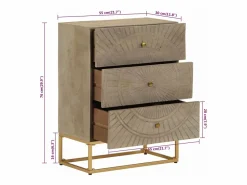 vidaxl Cómoda|Cómoda madera maciza de mango y hierro 55x30x76 cm