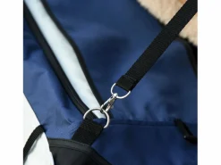 Cochecito para perros 2 en 1, cesta extraíble, poliéster, , con 2 correas de seguridad y plegable (81 x 58 x 97,5 cm)^ Sale