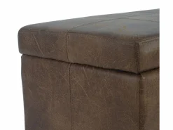 Cofre de almacenamiento Kriens, imitación de ante^MCW Hot