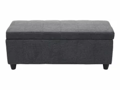 Cofre de almacenamiento Kriens, gris oscuro^MCW New