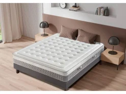Dagostino Home Colchón Memoria De Forma|Colchón 150x190 ALTA GAMA Visco | Alto 25cm | Firmeza Alta