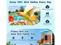 Comida Para Animales De Compañía|Comederos para Aves Inteligente SucceBuy con Cámara, 2K HD, Especies IA, Alimentado por Energía Solar