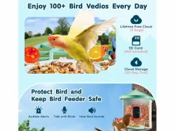Comederos para Aves Inteligente SucceBuy con Cámara, 2K HD, Especies IA, Alimentado por Energía Solar^ Sale