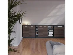 Vicco Conjunto de armarios para techo inclinado gris noble/antracita 120x46x81.6 rion Gris claro