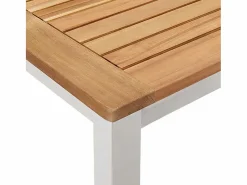 Conjunto de Comedor de Jardín 9 pcs Madera de Acacia Sólida^vidaxl Online