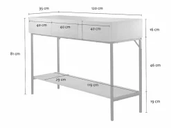 Calicosy Consola|Consola de 3 cajones con 1 estante inferior, decoración de madera y metal negro, L120 cm - TESSA